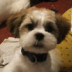 Eck's picture