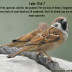 Rebecca Bonnell's picture