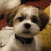 Eck's picture