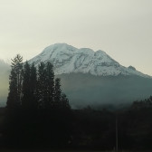 Fernando Burbano's picture