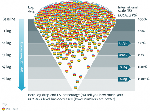 A diagram representing the PH+ International Scale