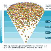 A diagrammatic representation of the International Scale