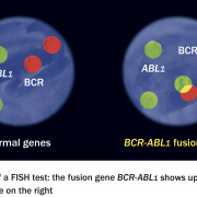 FISH Diagram